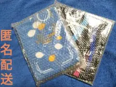 Item thumbnail for item 869b0a62-ac23-4cd9-8d39-e34686198f92
