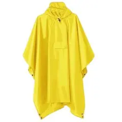 Item thumbnail for item e9277541-dedc-4e0f-b659-2d147cbf3149