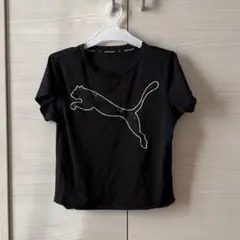 PUMA ブラック Tシャツ キッズ用　130