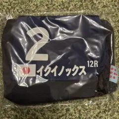 イクイノックス 12R ネイビー ポーチ