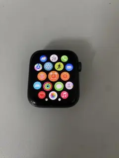 【バッテリー100%】ApplewatchSE 44mm 第1世代