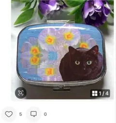 ⚠️8月限定SALE⚠️ ハンドメイド レジン 黒猫 ピルケース