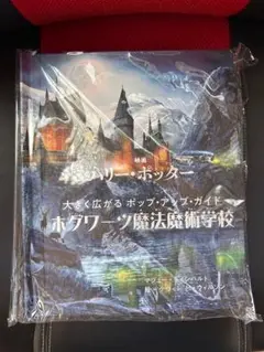 Item thumbnail for item 0a45ff13-0b45-403b-8340-81b4babfd465