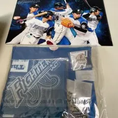 日ハムファイターズ 公式ファンクラブ記念グッズ 青