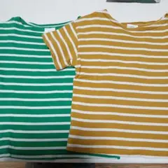 WBS ストライプTシャツ（緑・茶）