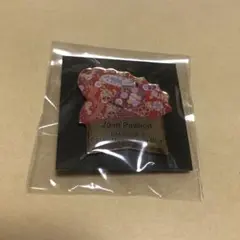新品未開封大阪関西万博　飯田ホールディングス&大阪公立大学限定ピンバッジ