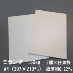 特殊紙、ミランダ130kg、A4、2種×各30枚（両面きらきらガラスフレーク）