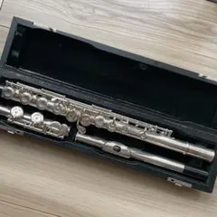 2025年最新】pearl pf-525の人気アイテム - メルカリ