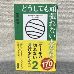 どうしても頑張れない人たち ケーキの切れない非行少年たち 2