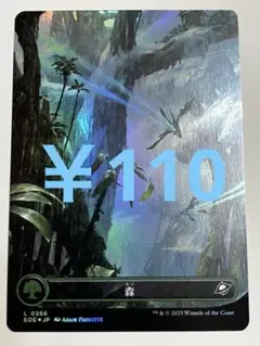 EOE 森 ボーダーレス foil 日本語