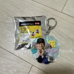阪神タイガース　百崎蒼生　シークレットオーロラアクリルキーホルダー　SGL
