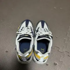 NIKEの靴サイズが小さくなったので出品します