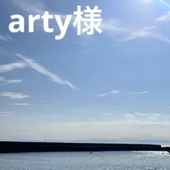 arty様リクエスト1点