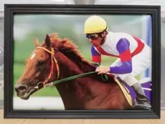 競馬.グラスワンダー.パネル.競馬ブック