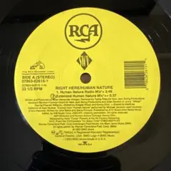 RIGHT HERE/HUMAN NATURE 12インチシングル　名盤