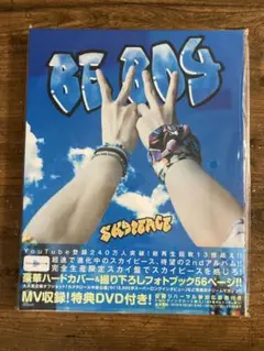 BE BOY(スカイ盤)