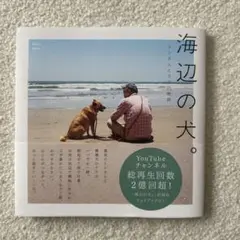 海辺の犬。トシさんとララの物語 宝島社 シール付き