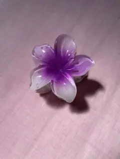 ハイビスカスクリップ