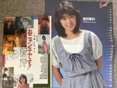 おニャン子クラブ　切り抜き　新田恵利ピンナップ