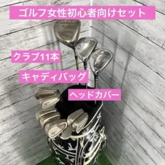 ゴルフ女性初心者向けセット!クラブ11本キャディバッグヘッドカバーセット