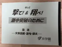 浜学園　撃て！&翔べ！　灘中突破のために　国語 2025年最新】浜学園 撃ての人気アイテム - メルカリ