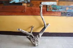 Item thumbnail for item 5eb96057-2a34-4735-a23f-311b2d6dc17d