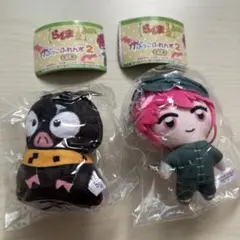 らんま1/2 かぷっこふれんず2 らんま Pちゃん
