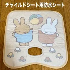 Item thumbnail for item 71527bcd-4b7b-4329-945f-bcee5a9fd41b