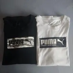 PUMA 訳ありTシャツ Mサイズ ブラック　ホワイト
