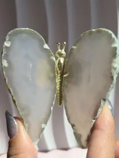 アゲート蝶