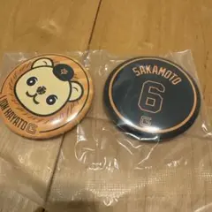 ジャイアンツ　エニマイくじ　E賞　缶バッジ　ライオンハヤト　坂本勇人