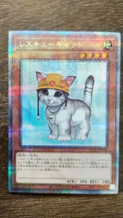 遊戯王 レスキューキャット 25th
