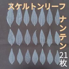 ナンテン　南天　スケルトンリーフ　葉脈標本　ハンドメイド　手芸　素材　材料
