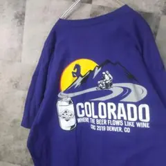 半袖TシャツUSA古着ビッグオーバーサイズパープルXL　A9,11