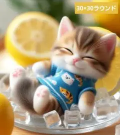 No 5755　ダイヤモンドアートキット　未使用品