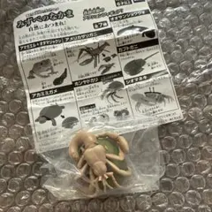 みずべのなかま　ホンヤドカリ　ガチャガチャ 未開封