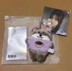 ILLIT 公式 キャラクター ぬいぐるみ スクエア カード トレカ イロハ illit イロハ bomb ポップアップ 限定 ぬいぐるみ トレカ セット