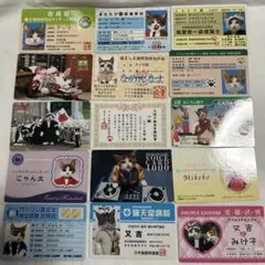 なめ猫カード 17枚セット