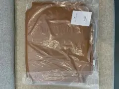 Item thumbnail for item fe9b4a89-13e0-491e-89f0-10c1eff97c57