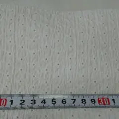 Item thumbnail for item 9c6ceb5a-d1ed-4418-be6a-00542515458d