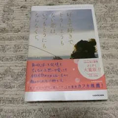 好きで好きでどうしようもない恋は、いつもどうにもならなくて。