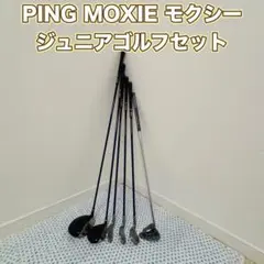 Item thumbnail for item f79e908d-580c-4cef-865a-d026c2c97a7b