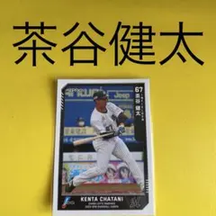 茶谷健太 カード