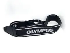 Item thumbnail for item 77800e0c-641e-4bdf-9b0c-d1b99222870b