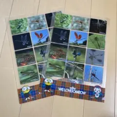 トンボ　クリアファイル