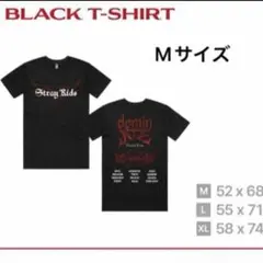 Stray Kids スキズ シンガポール Tシャツ ブラック M 1 2025年最新】straykids tシャツ シンガポールの人気アイテム
