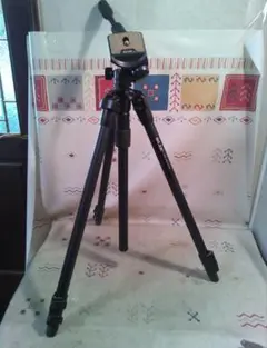 Item thumbnail for item 2c6cccf6-eae7-45a5-8b30-250487f34102