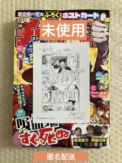 週刊少年チャンピオン39号 アニメイト 限定 特典 ペーパー付き 吸血鬼