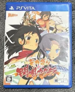 PSvitaのゲームソフト デカ盛り 閃乱カグラ