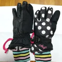スキーグローブ